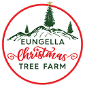 EungellaXmasTrees6000x6000 3